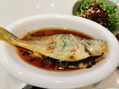 雪菜蒸小黄鱼-泉上·发现DISCOVERY ·黔菜餐厅(银海元隆广场店)