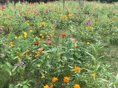 -沕沕水生态风景区