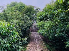 -西湖风景区十里琅珰-五云山