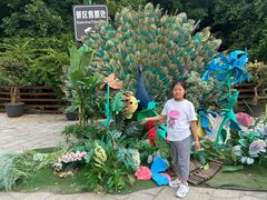 -西双版纳原始森林公园