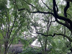 -西园戒幢律寺