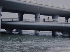 -演武大桥观景平台