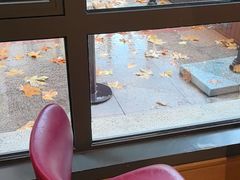 -COSTA COFFEE(上海虹口公园店)