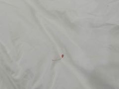 -麗枫酒店(广州同和南方医院南方医科大学店)
