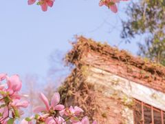 -贵州省植物园