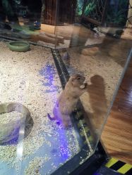 -未来动物城主题公园(正弘城店)