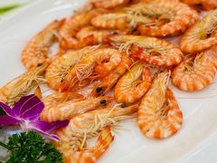 白灼九节虾-同君福大酒楼(紫新路店)