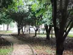 -中南财经政法大学(首义校区)