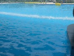 -太阳岛沙滩泳场水上乐园
