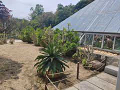 -深圳仙湖植物园