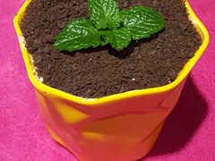 -森居forest休闲咖啡聚集地