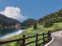 -武陵山森林公园