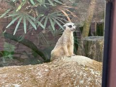 -清迈夜间动物园