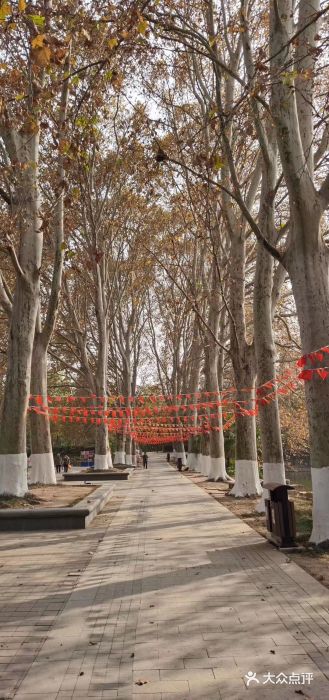 焦山风景区图片