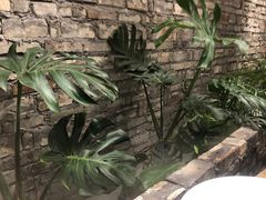 -茶理宜世(京溪店)