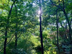 -北岭山森林公园