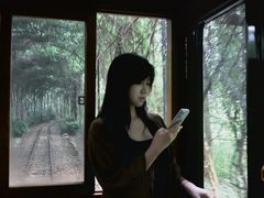 -合肥滨湖国家森林公园
