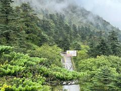 -峨眉山风景名胜区