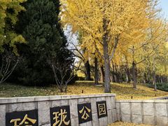 -玲珑塔公园