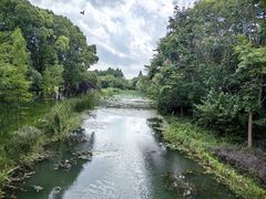 -昆山城市生态森林公园