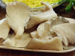 平菇-潮汕美牛肉丸火锅店(天宁寺店)