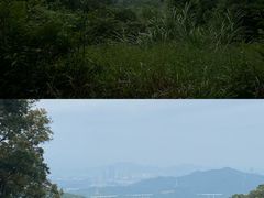 -广州市帽峰山景区