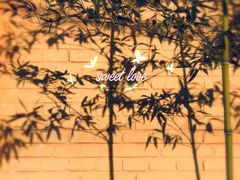 -首都师范大学科德学院