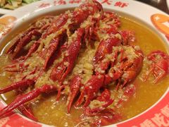 -阿财老铺·老蚌埠龙虾城(华夏总店)