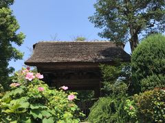 -灌篮高手动画打卡地