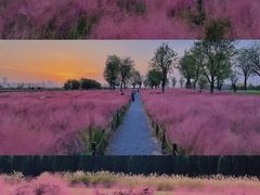 -汉长安城未央宫国家考古遗址公园