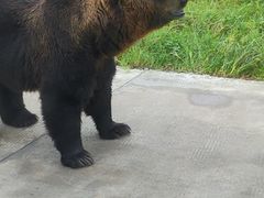 -上海野生动物园