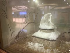 -汤里来温泉