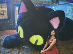 -郑州方特梦幻王国