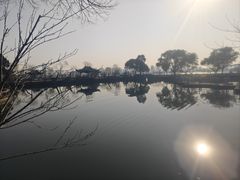 -无锡蠡湖国家湿地公园-蠡园