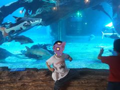 -华夏文旅西安度假区