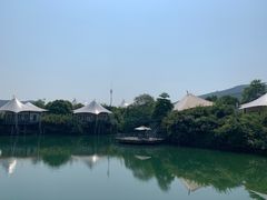 -帐篷客·溪龙茶谷度假酒店