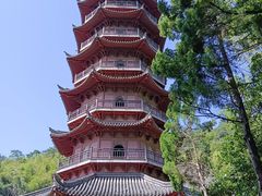 -阿育王寺
