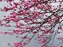 -常德桃花源景区