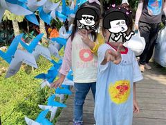 -武陵山森林公园