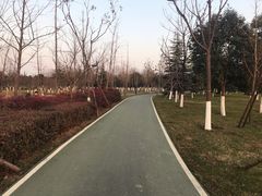 -洨河生态公园