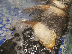-雅盛品931海鲜酒家