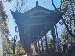 -黑龙潭公园