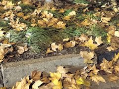 -白塘生态植物园