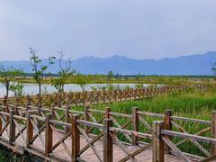 -野鸭湖国家湿地公园