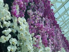 -石家庄市植物园