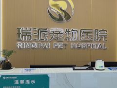 -瑞派康怡24h宠物医院·犬猫医疗中心·微创绝育(瑞景分院)