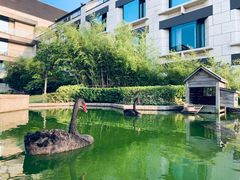 -行者书屋大堂吧 ·下午茶(南京圣和府邸酒店)