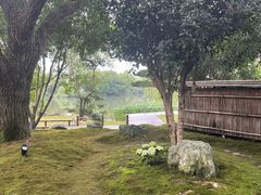 -新荣记(西溪湿地店)