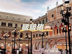 -澳门威尼斯人综合度假区