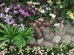 -南山植物园